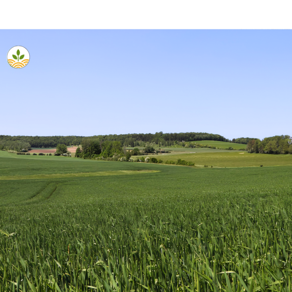 Projet EARL de Burlinval
