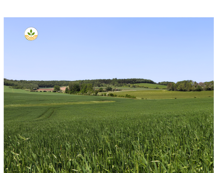 Projet EARL de Burlinval