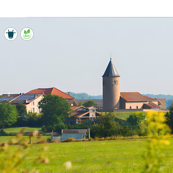 Projet Maiz'ange
