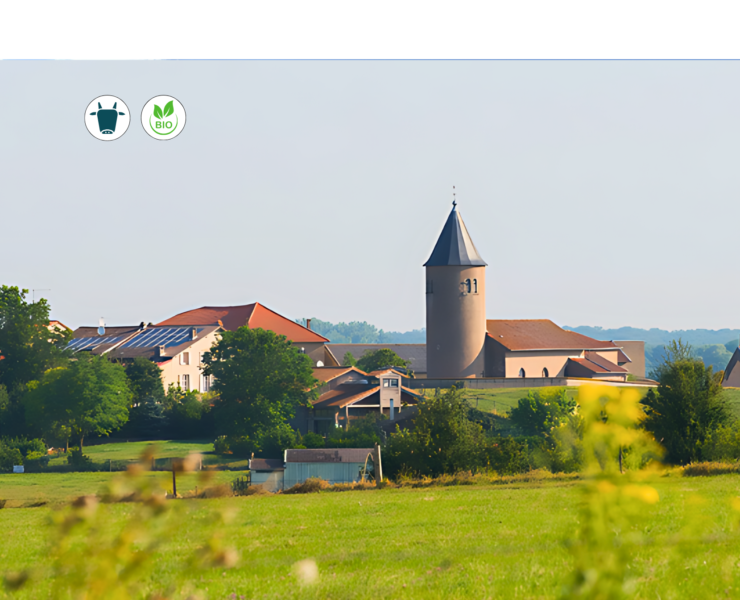 Projet Maiz'ange