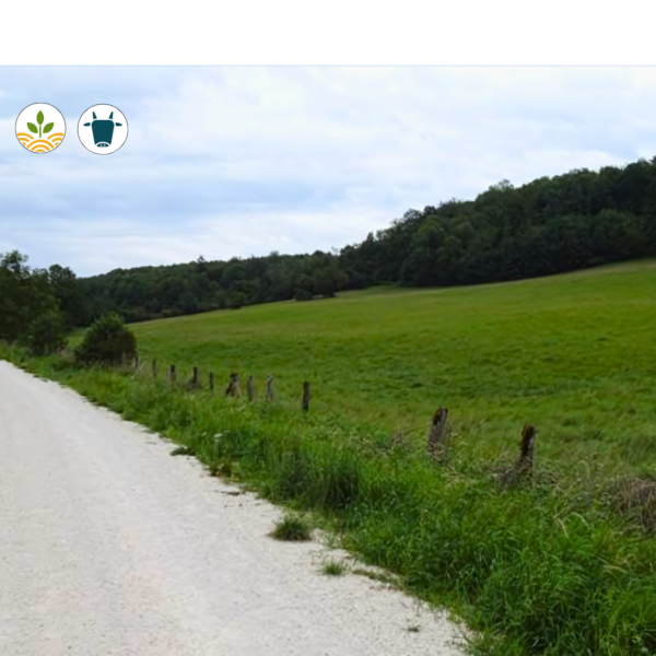 Projet de l'Orée