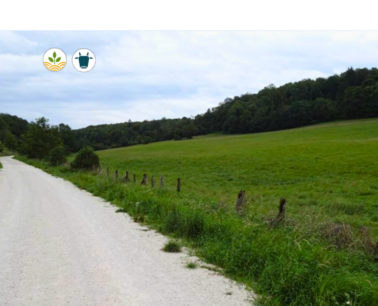 Projet de l'Orée