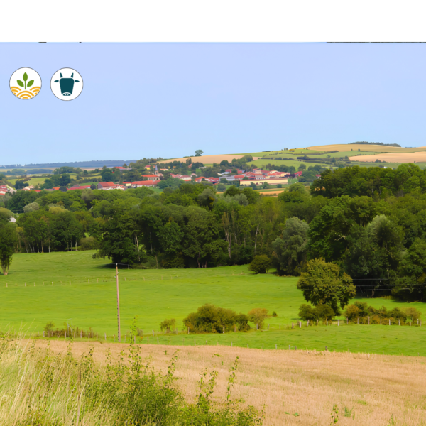 Projet Aire Nord