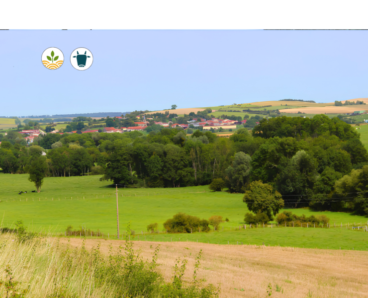 Projet Aire Nord