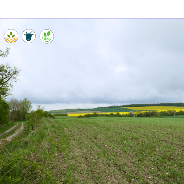 Projet ENERJAC Renouvelable