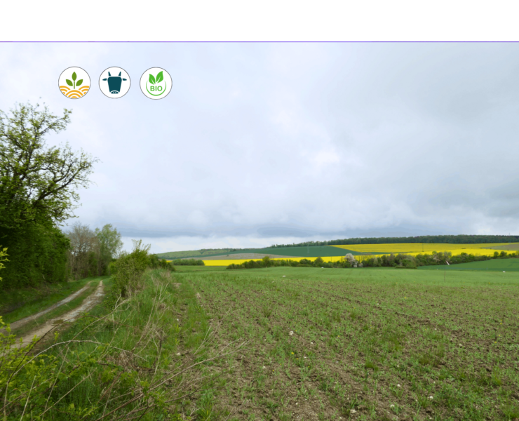 Projet ENERJAC Renouvelable