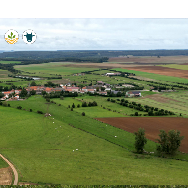 Projet Agrivizion