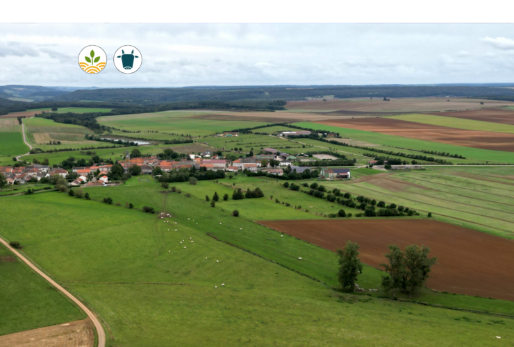 Projet Agrivizion
