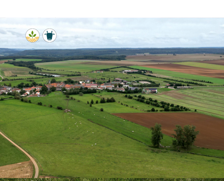 Projet Agrivizion